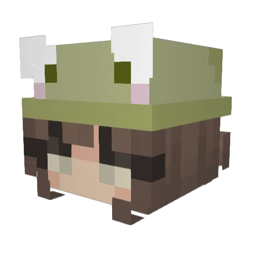 RageDuck Minecraft avatar head, 3D render