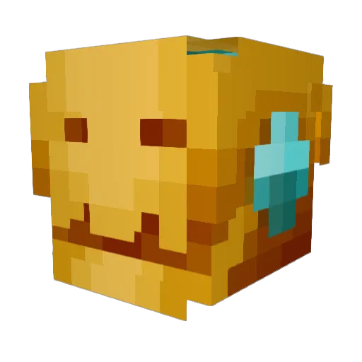 RageSilver Minecraft avatar head, 3D render