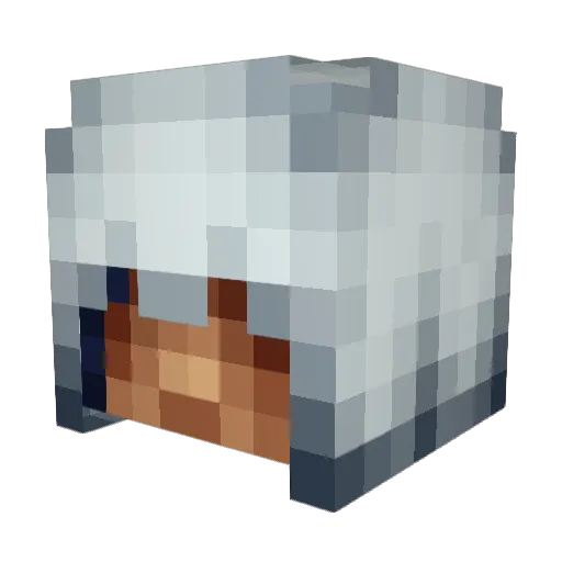 RagedWhale Minecraft avatar head, 3D render