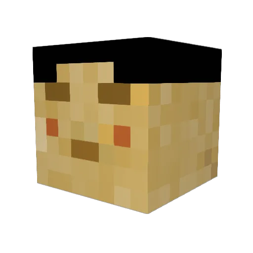Ragedcactus2300 Minecraft avatar head, 3D render