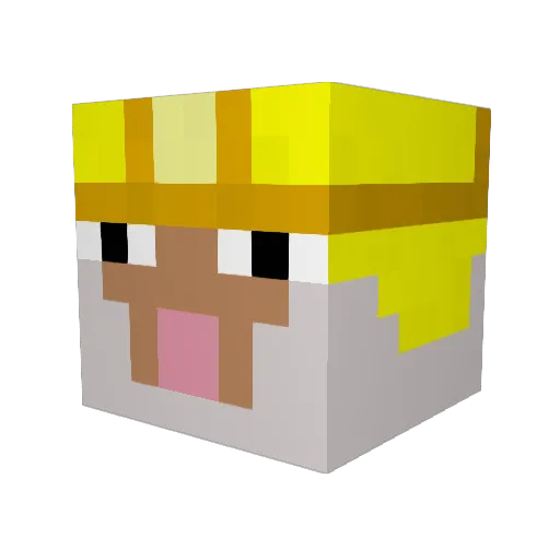 Ragefeast95 Minecraft avatar head, 3D render