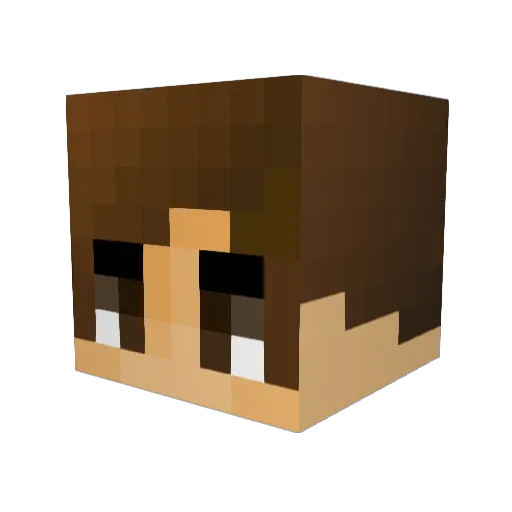 Ragemeister Minecraft avatar head, 3D render