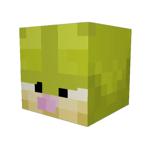 Ragequitconner Minecraft avatar head, 3D render