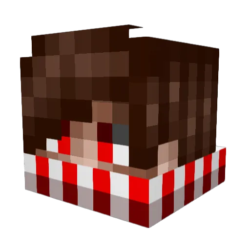 RageraPark Minecraft avatar head, 3D render