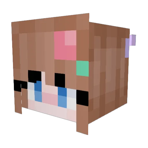 Ragfly Minecraft avatar head, 3D render