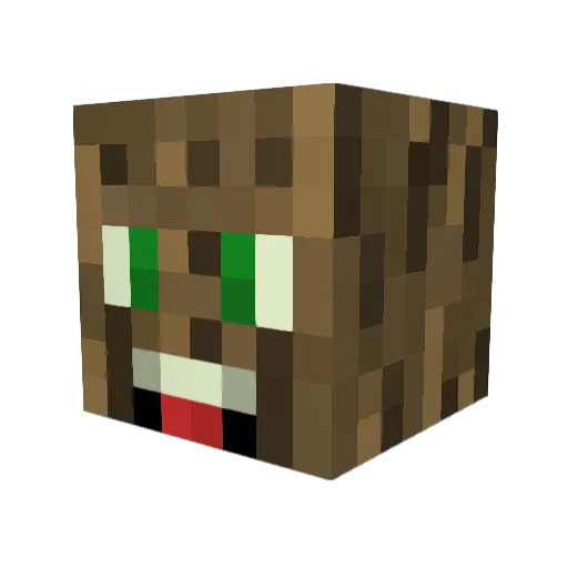 Raggamon1 Minecraft avatar head, 3D render