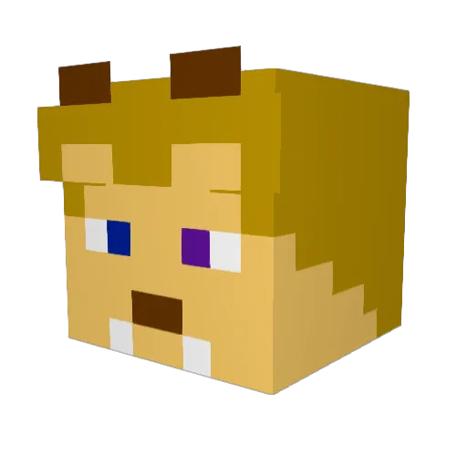 RaggedDreams Minecraft avatar head, 3D render