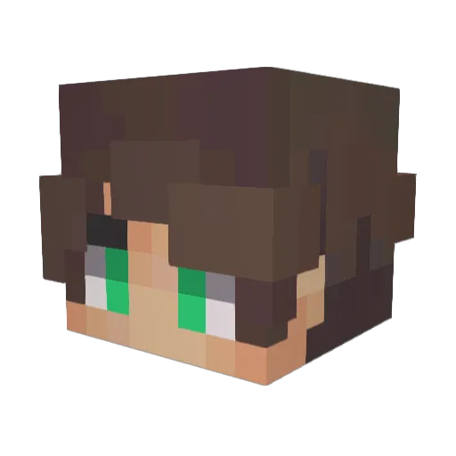RaggedVagabond Minecraft avatar head, 3D render