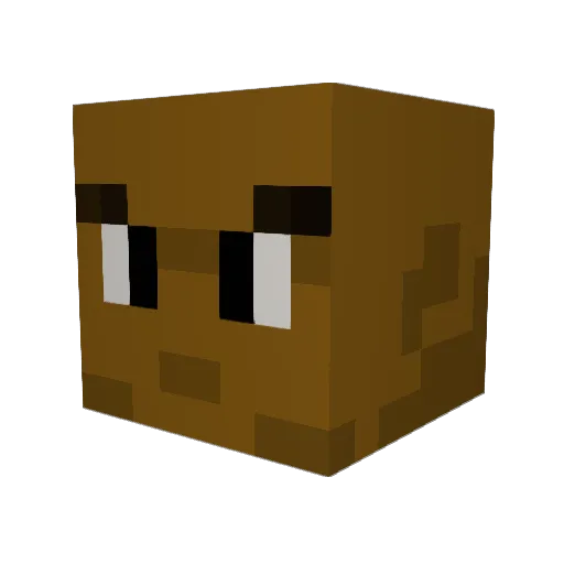 RaginShadin Minecraft avatar head, 3D render
