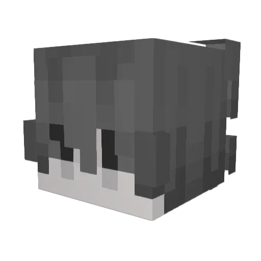 RaginVibes Minecraft avatar head, 3D render