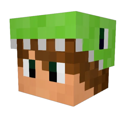 RagingBagon Minecraft avatar head, 3D render