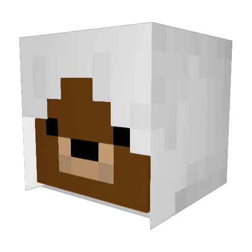 RagingBear00000 Minecraft avatar head, 3D render