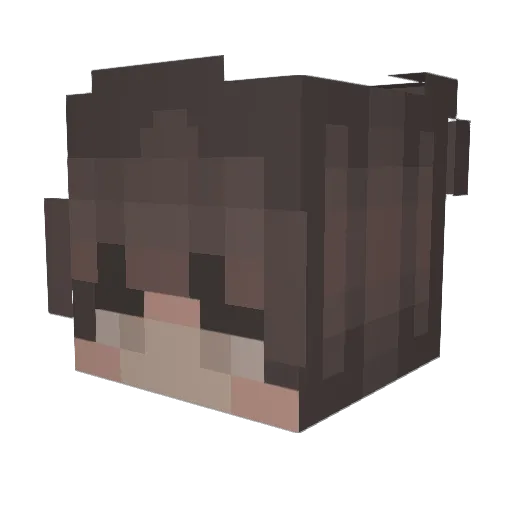 RagingBeegs Minecraft avatar head, 3D render