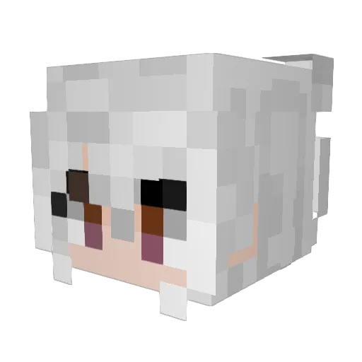 RagingClawitzer Minecraft avatar head, 3D render
