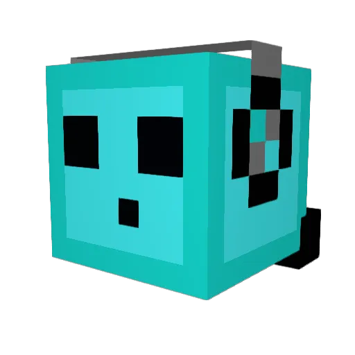 RagingDragon2020 Minecraft avatar head, 3D render