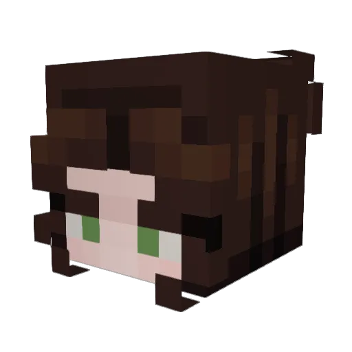 RagingRhino101 Minecraft avatar head, 3D render