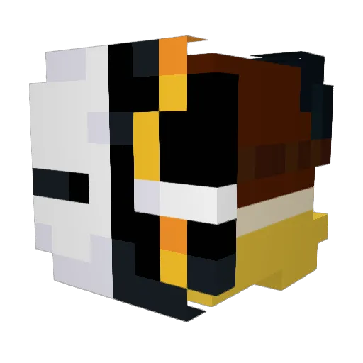 RagingRyan21 Minecraft avatar head, 3D render