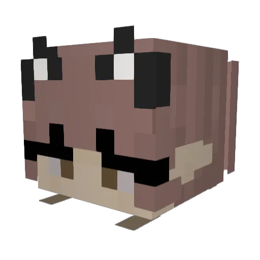 RagingWolf Minecraft avatar head, 3D render