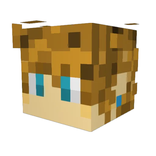 Raging___ Minecraft avatar head, 3D render