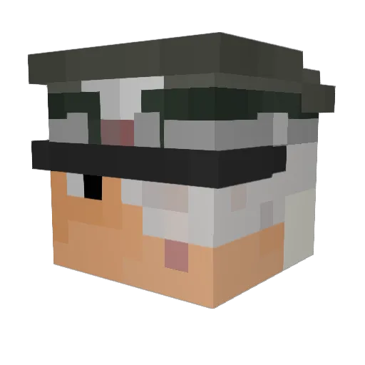 Ragingbull2234 Minecraft avatar head, 3D render