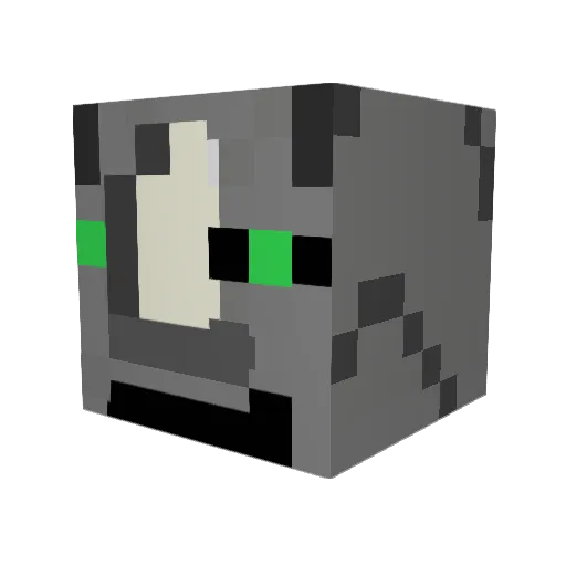 Ragingrhino05 Minecraft avatar head, 3D render