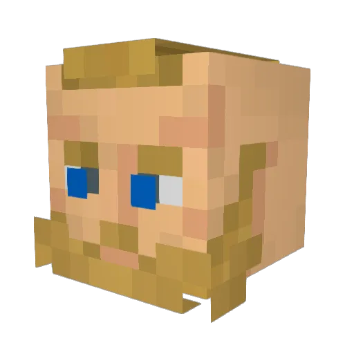 Ragnar1506 Minecraft avatar head, 3D render