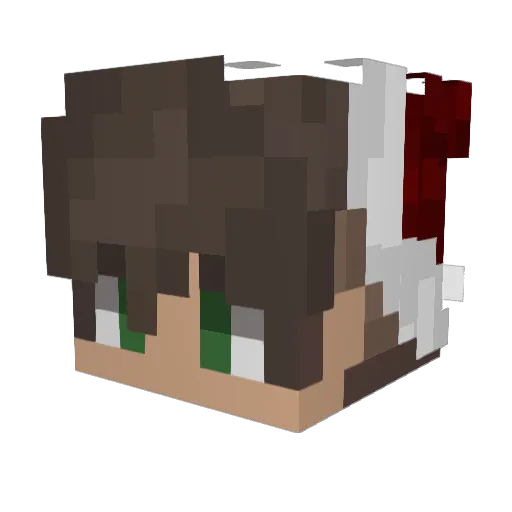 Ragnar196 Minecraft avatar head, 3D render