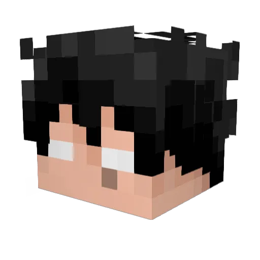 RagnarWebXiter Minecraft avatar head, 3D render