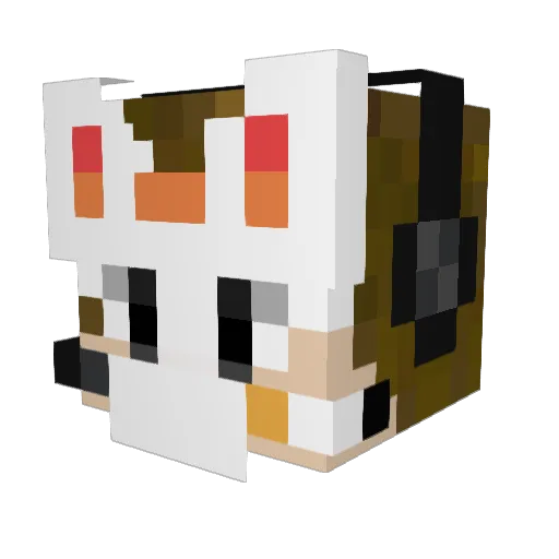 Ragnarok85 Minecraft avatar head, 3D render