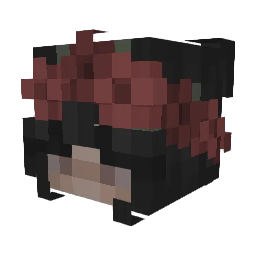 Ragnaroll1234 Minecraft avatar head, 3D render