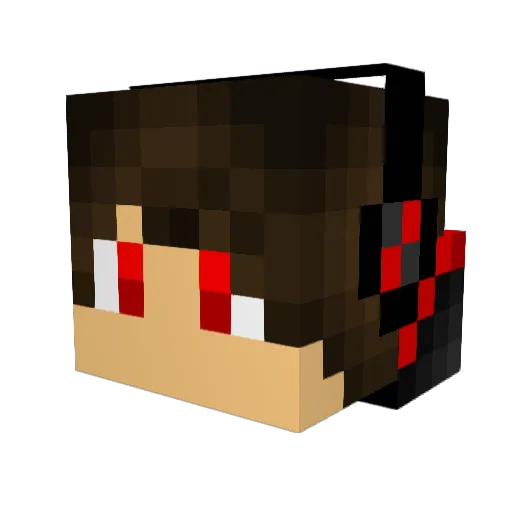 Ragnorok628 Minecraft avatar head, 3D render