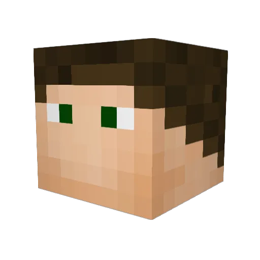 Ragon33 Minecraft avatar head, 3D render