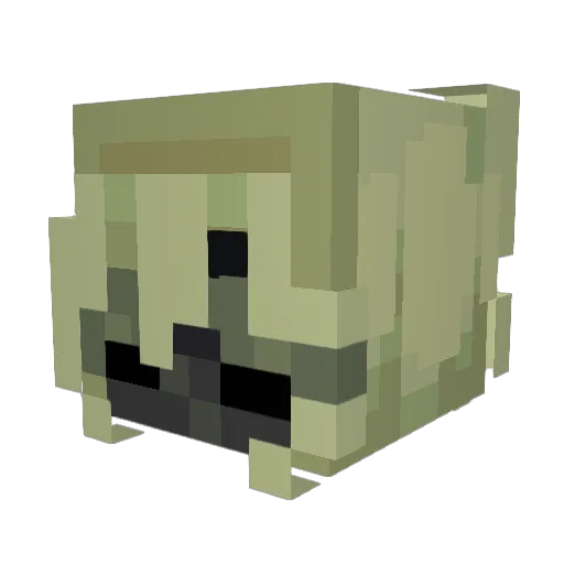 Ragoue Minecraft avatar head, 3D render