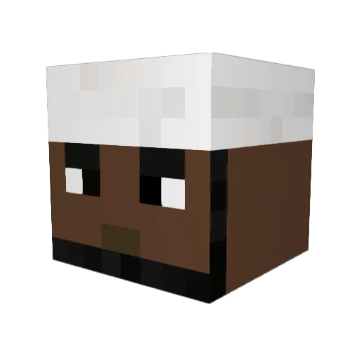 Rags9623 Minecraft avatar head, 3D render