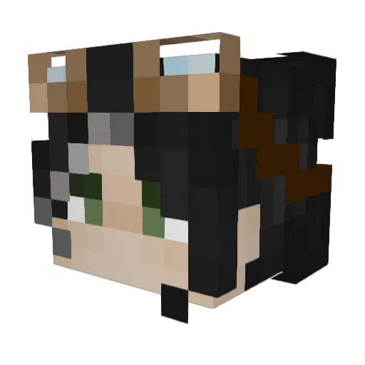 Ragsuro Minecraft avatar head, 3D render