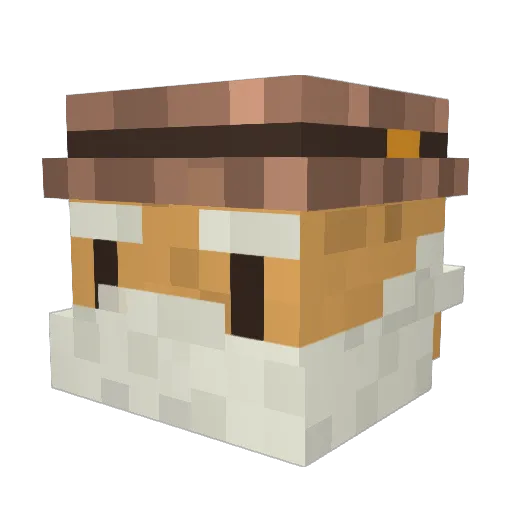 Raguster Minecraft avatar head, 3D render