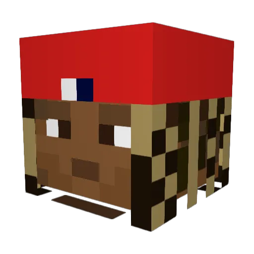 Rahbaekk Minecraft avatar head, 3D render