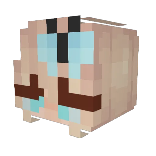 Rahjja Minecraft avatar head, 3D render