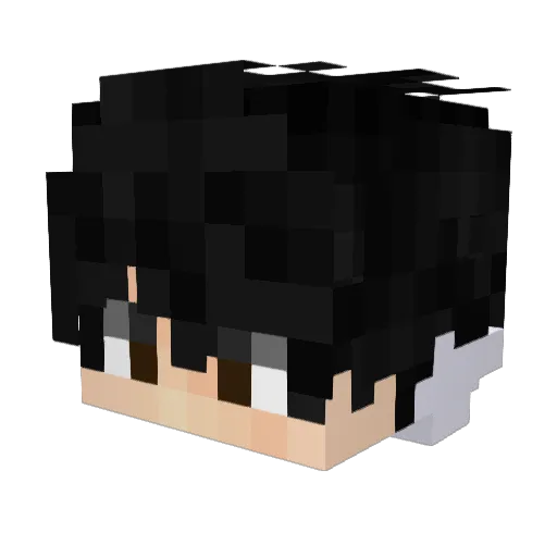 Rahm1001 Minecraft avatar head, 3D render