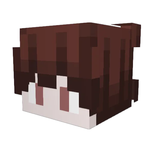 Rahmkim8282 Minecraft avatar head, 3D render