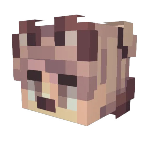 Rahni Minecraft avatar head, 3D render