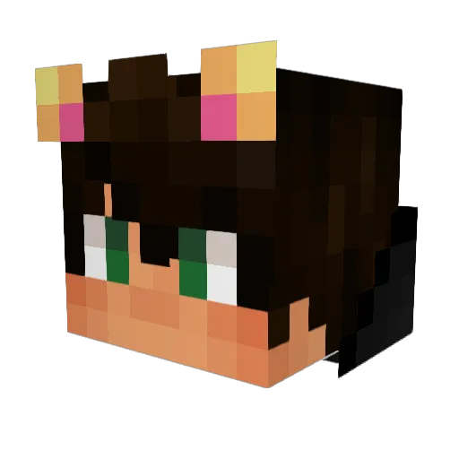 Rahondas Minecraft avatar head, 3D render