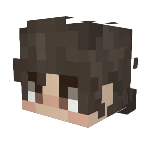 Rai777 Minecraft avatar head, 3D render