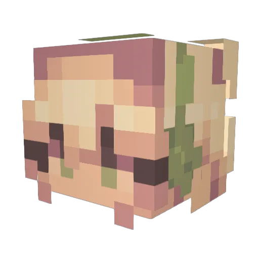 RaiLightninggod Minecraft avatar head, 3D render