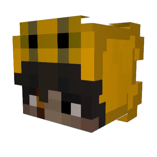 RaiRai232 Minecraft avatar head, 3D render
