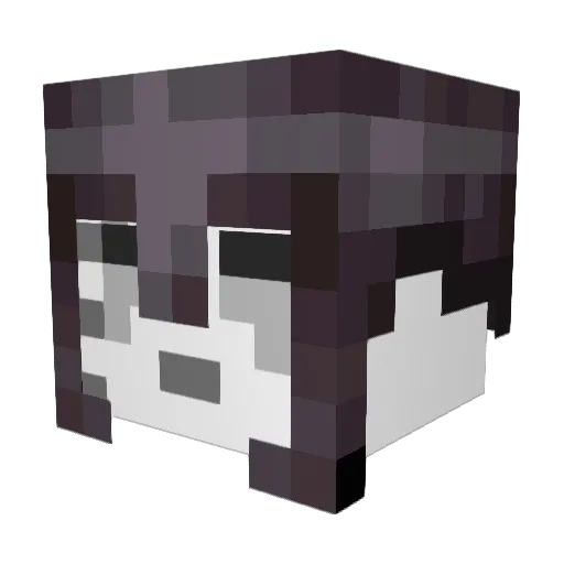 Raibuz Minecraft avatar head, 3D render