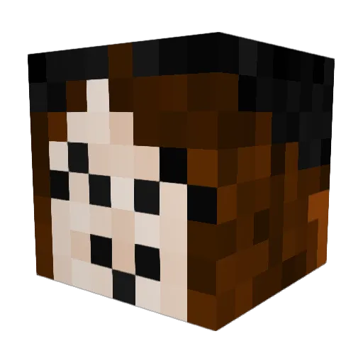 Raichar Minecraft avatar head, 3D render
