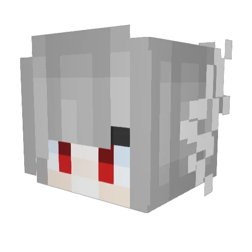 Raichy_ Minecraft avatar head, 3D render