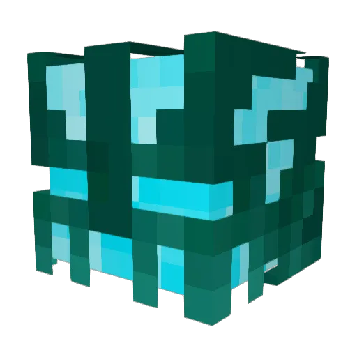 RaidCode Minecraft avatar head, 3D render