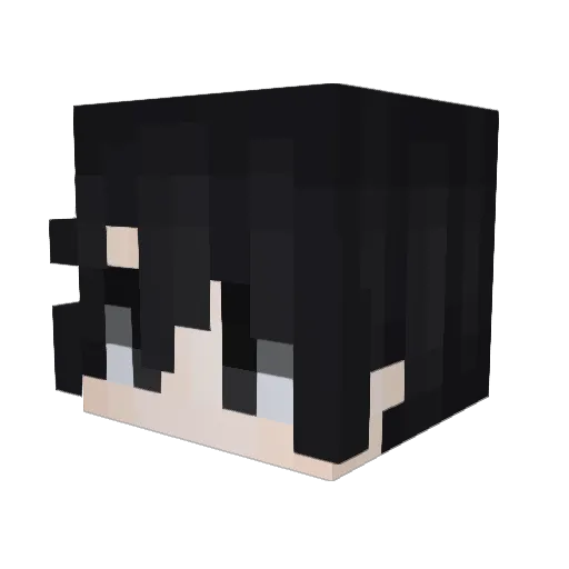 RaidMC Minecraft avatar head, 3D render